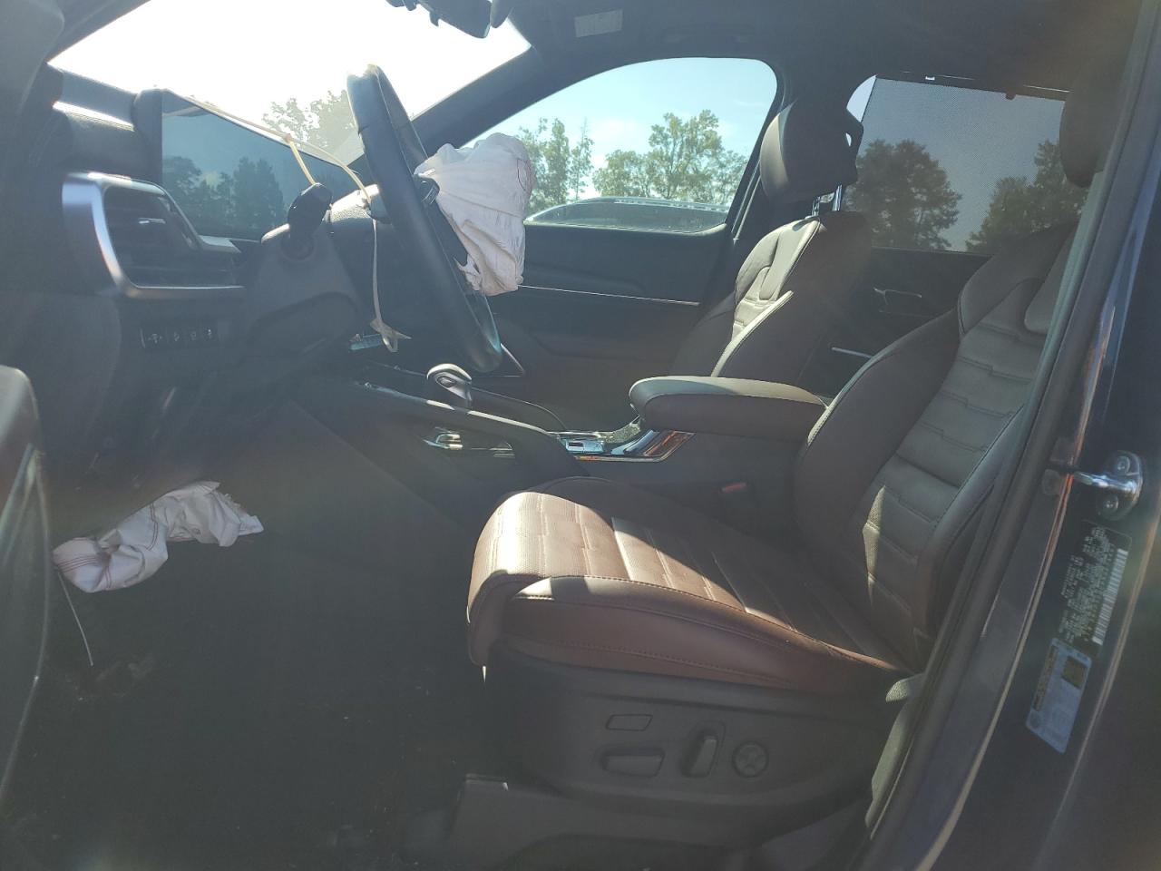2024 Kia Telluride Sx VIN: 5XYP5DGC6RG474467 Lot: 63072935