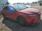 2024 LEXUS NX 350H BASE   for sale at Copart QC - MONTREAL
