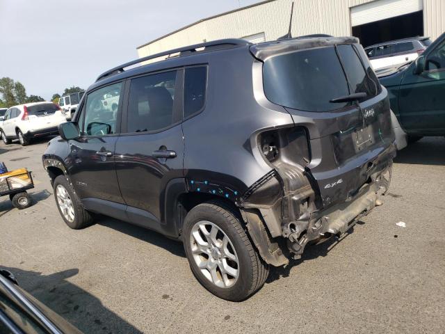  JEEP RENEGADE 2018 Серый