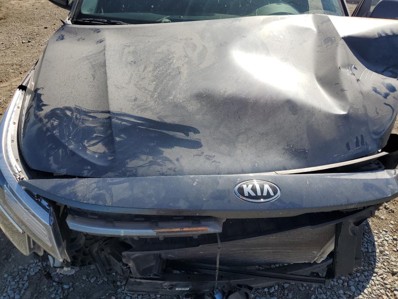 2021 Kia Seltos S VIN: KNDEUCAAXM7168101 Lot: 63588335