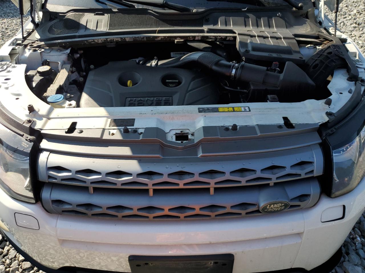 2014 Land Rover Range Rover Evoque Pure Premium VIN: SALVR2BG1EH876286 Lot: 64884465