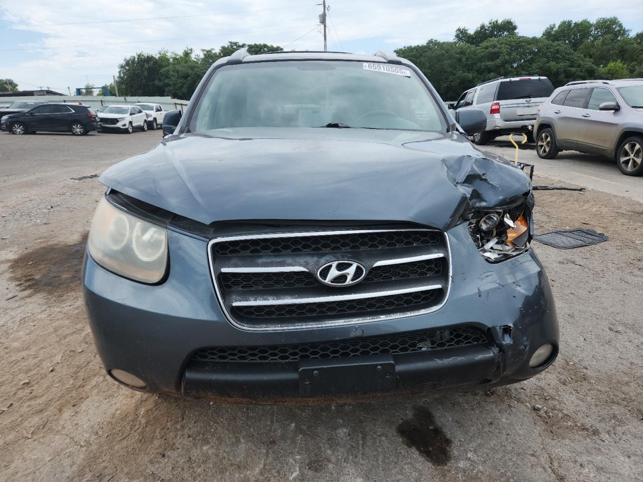 2007 Hyundai Santa Fe Se VIN: 5NMSH13E87H118418 Lot: 65910505