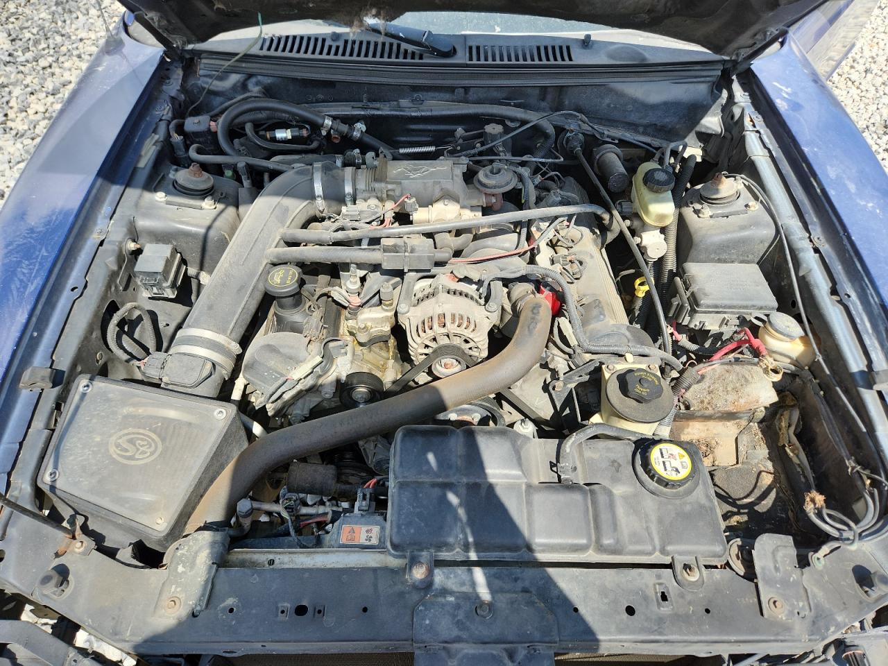 2003 Ford Mustang Gt VIN: 1FAFP42X03F303911 Lot: 65293915