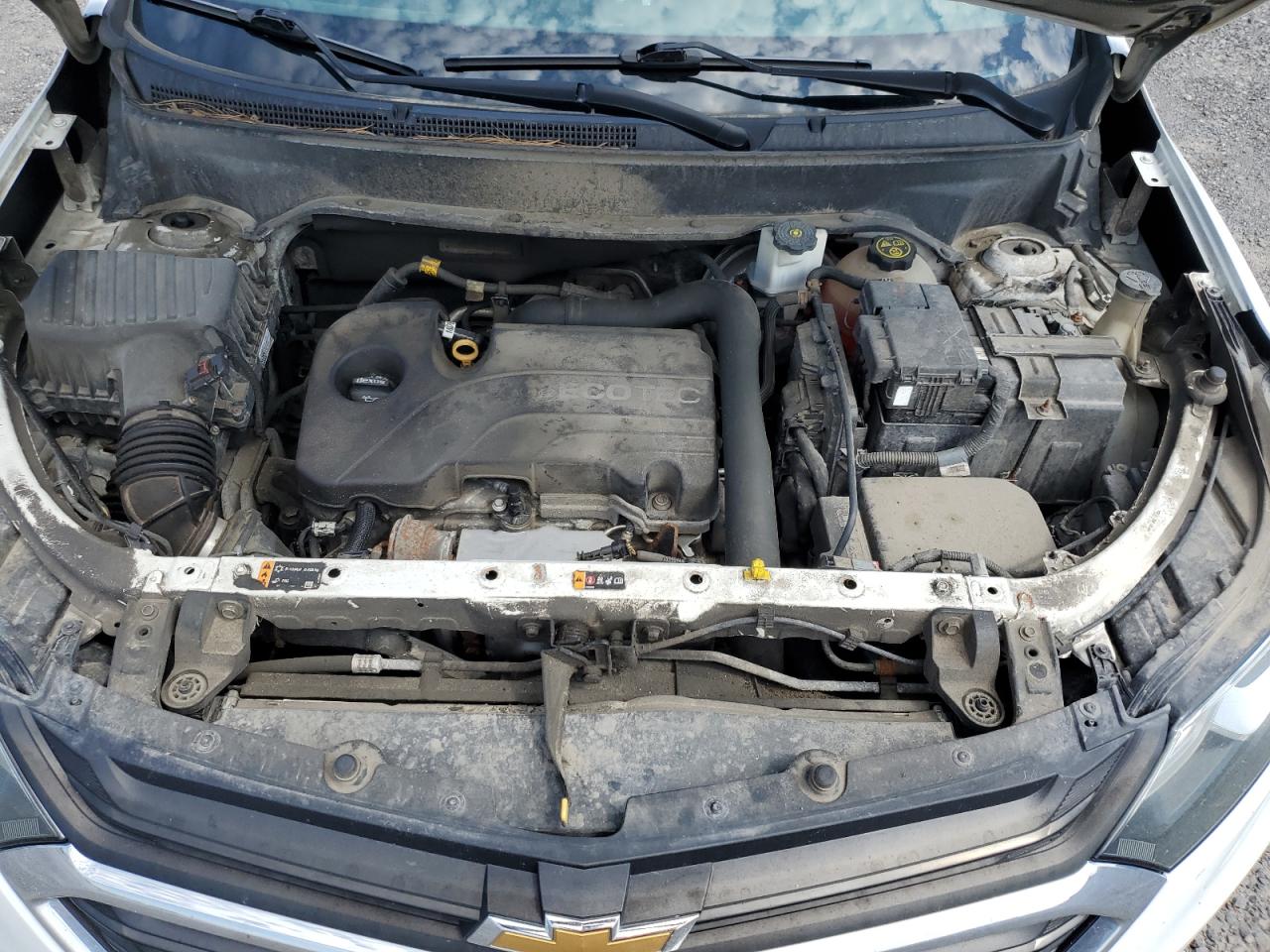 2019 Chevrolet Equinox Ls VIN: 2GNAXSEV5K6120037 Lot: 64174235