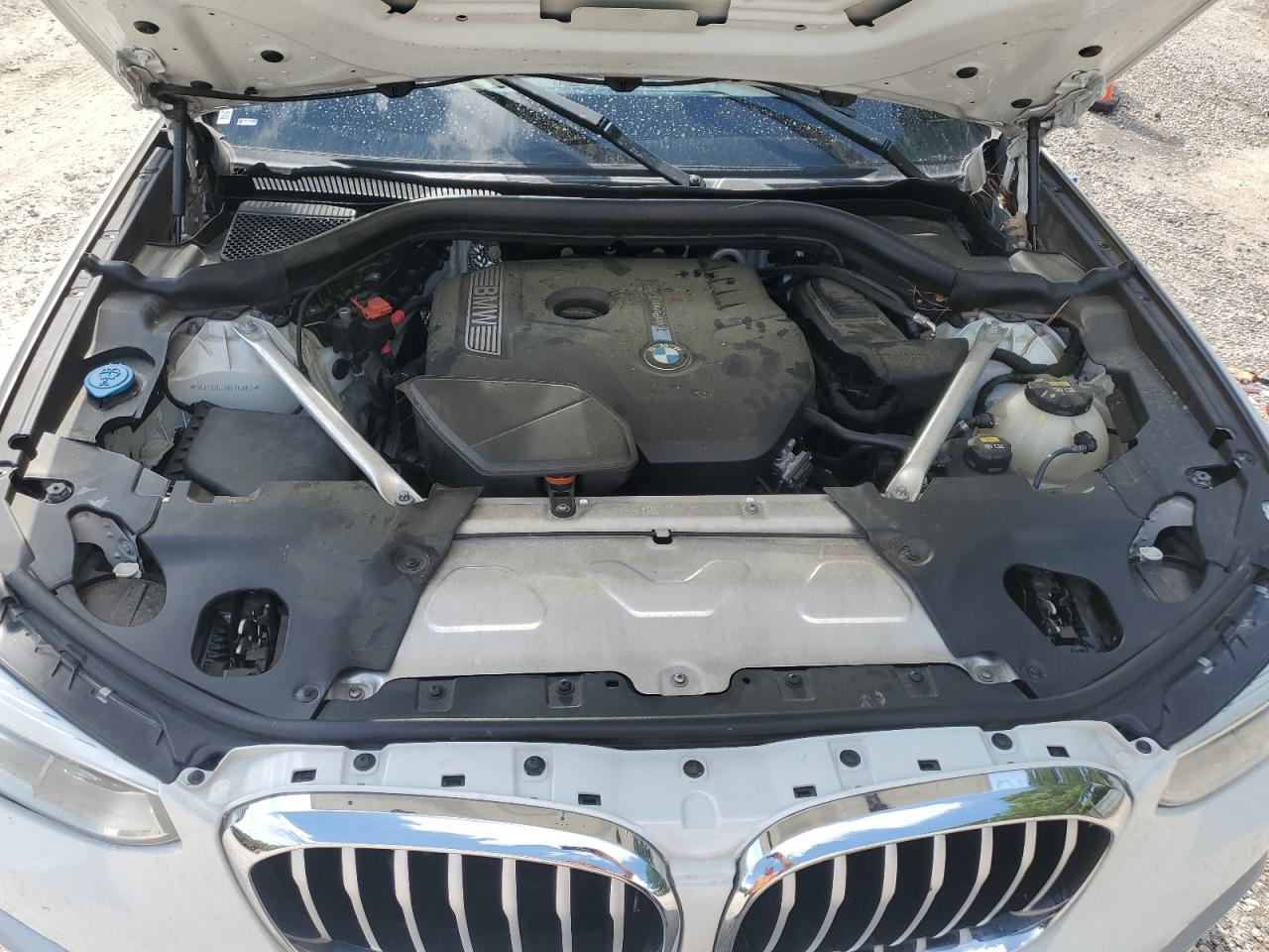 2019 BMW X3 Sdrive30I VIN: 5UXTR7C52KLR43817 Lot: 66211275