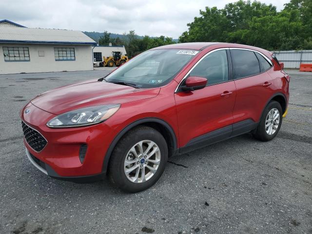  FORD ESCAPE 2020 Czerwony