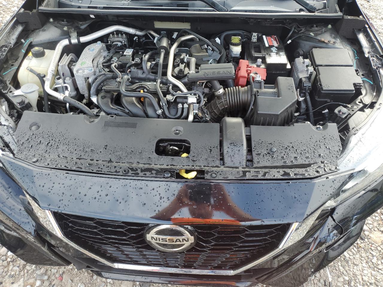 2020 Nissan Sentra Sv VIN: 3N1AB8CV6LY290620 Lot: 64380365