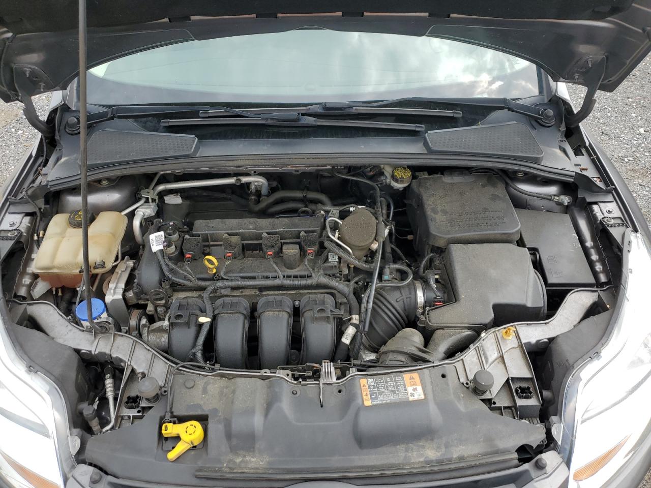 2014 Ford Focus Se VIN: 1FADP3K25EL448565 Lot: 63809475