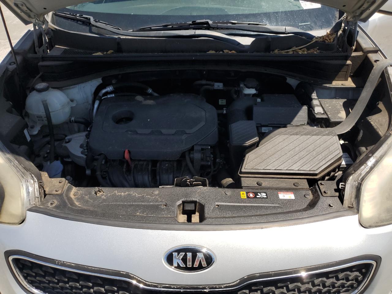 kndpm3ac1k7572203 KNDPM3AC1K7572203 2019 Kia Sportage Lx