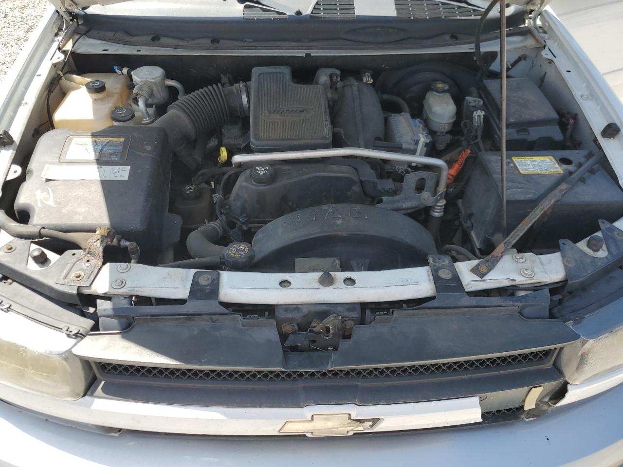 2004 Chevrolet Trailblazer Ls VIN: 1GNDT13S842319496 Lot: 65891925