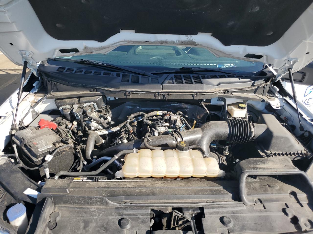 2022 Ford F150 Super Cab VIN: 1FTEX1CP3NKF07793 Lot: 66384415