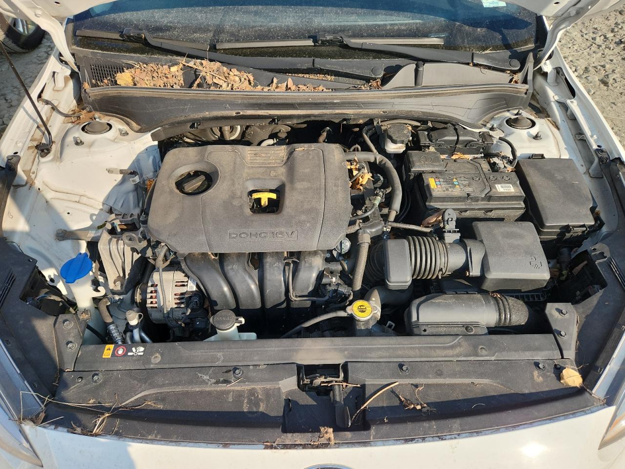 2020 Kia Forte Fe VIN: 3KPF24ADXLE213997 Lot: 65332065