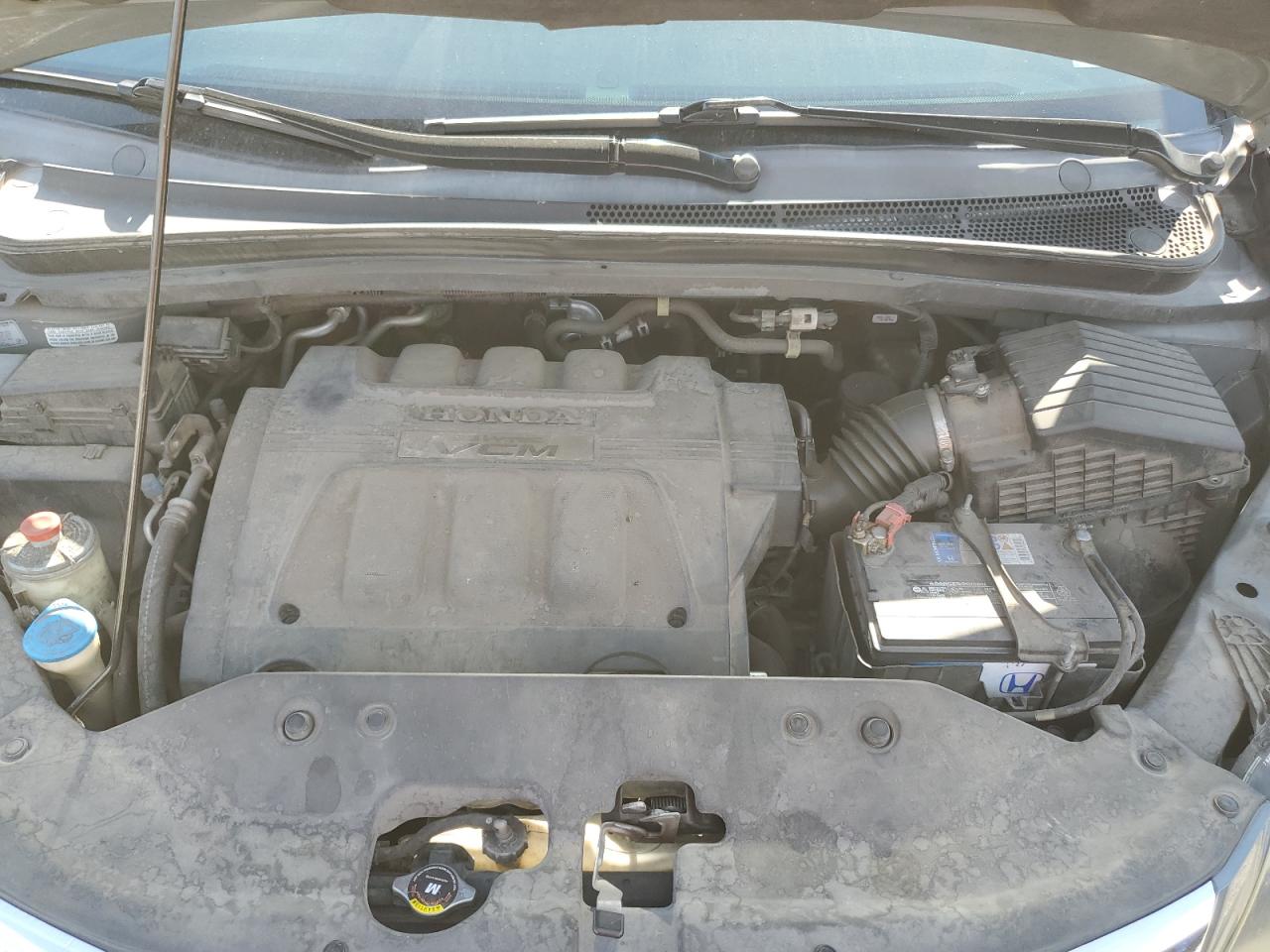 2008 Honda Odyssey Exl VIN: 5FNRL38708B405256 Lot: 63029145