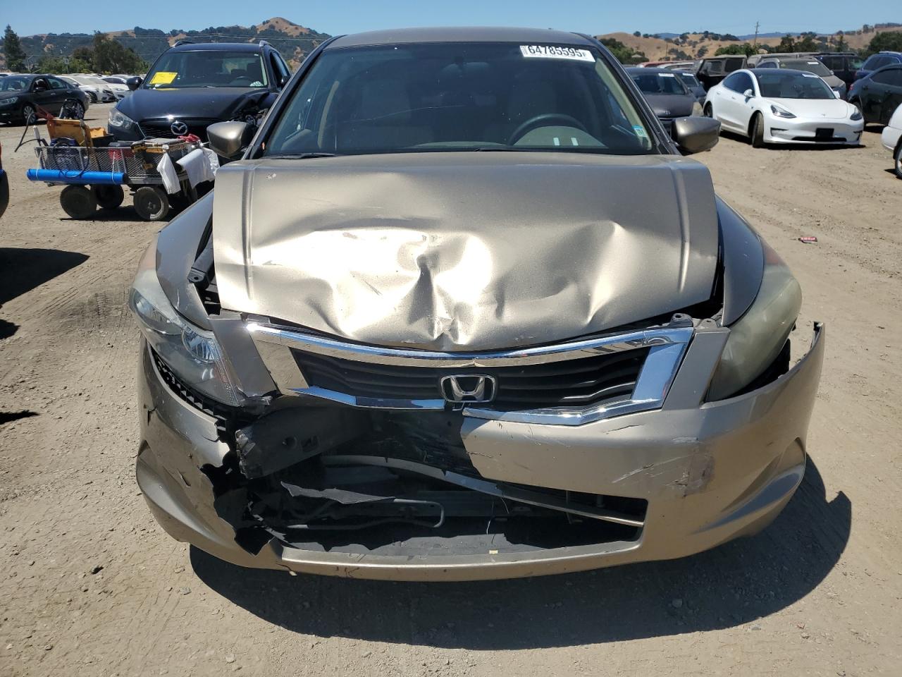 2010 Honda Accord Lxp VIN: 1HGCP2F46AA033922 Lot: 64785595