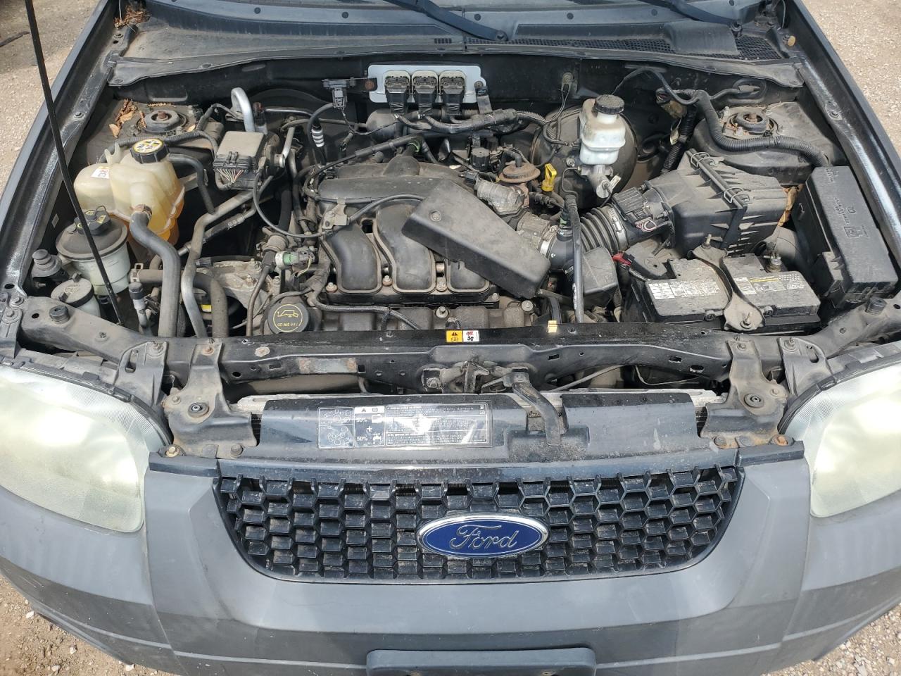2005 Ford Escape Xlt VIN: 1FMCU03195KD41345 Lot: 63432585