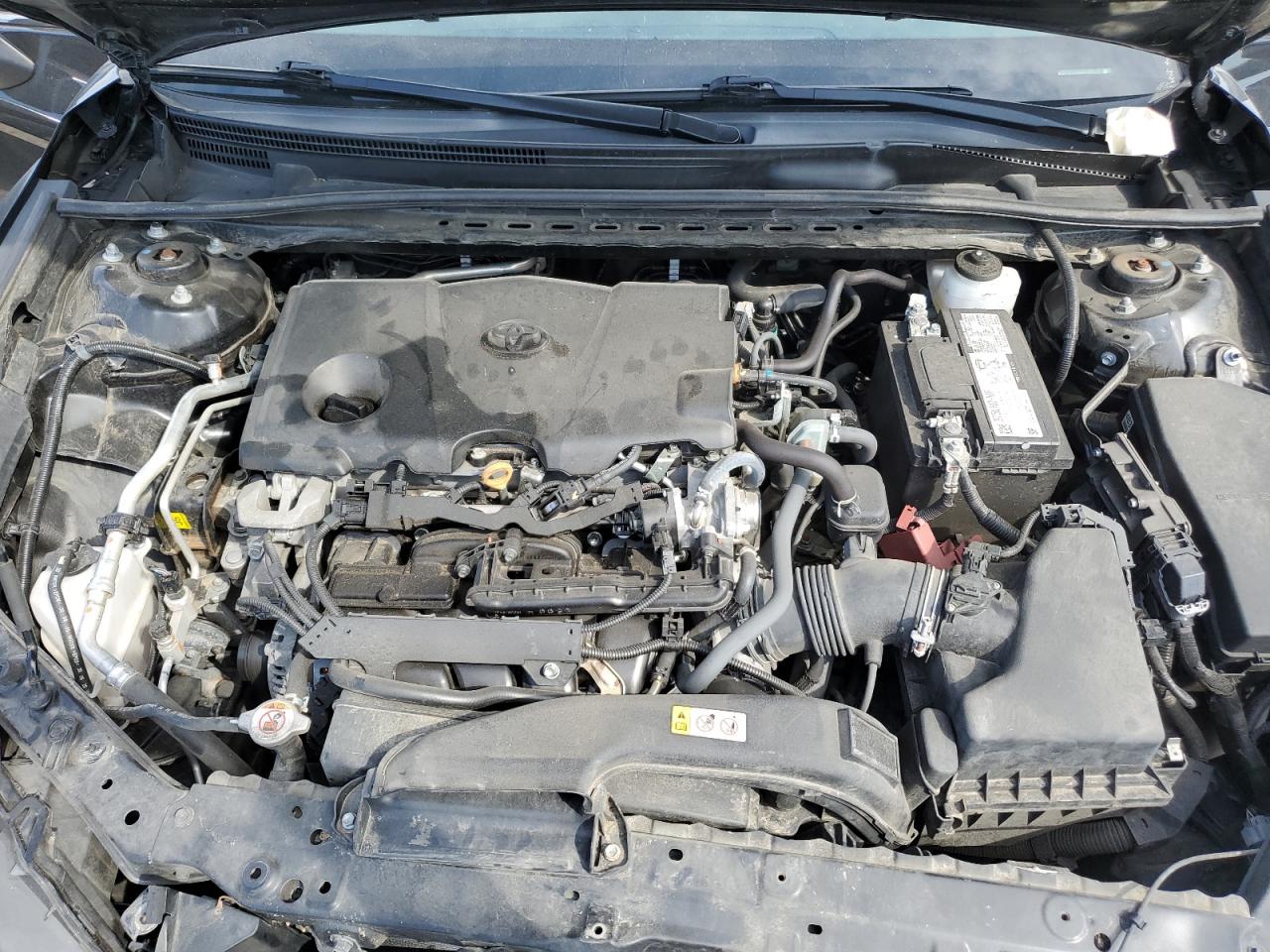4T1G11AK4MU435955 TOYOTA CAMRY 2021