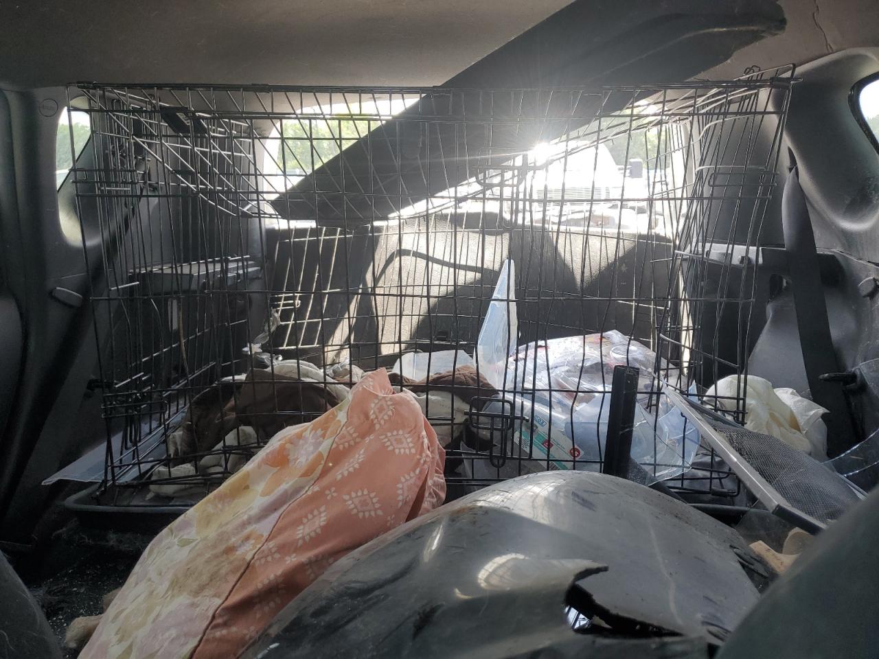 2017 Kia Soul + VIN: KNDJP3A57H7472789 Lot: 65658585