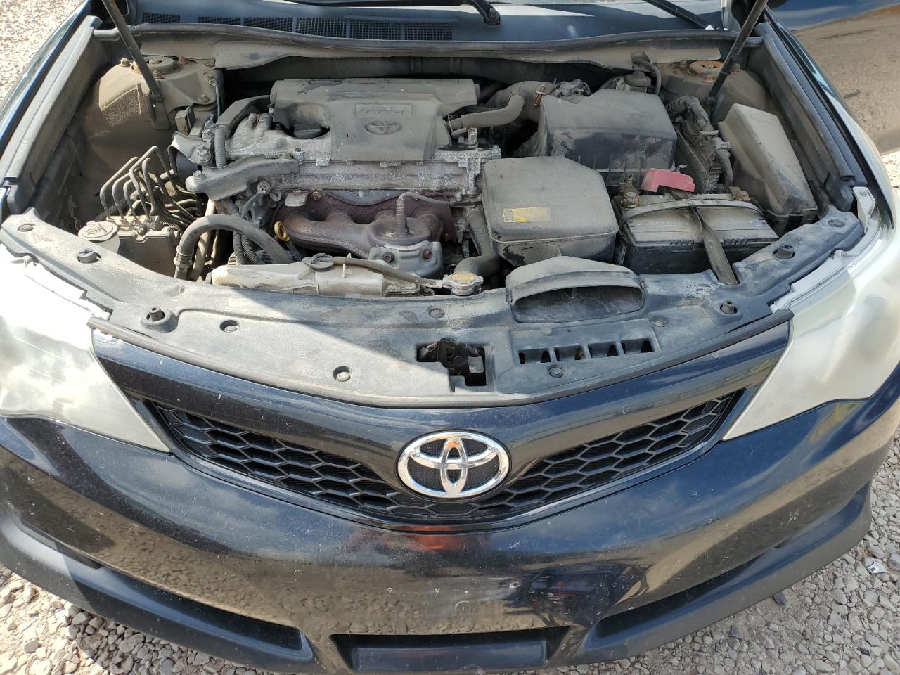 2013 Toyota Camry L VIN: 4T1BF1FK5DU654198 Lot: 64981265