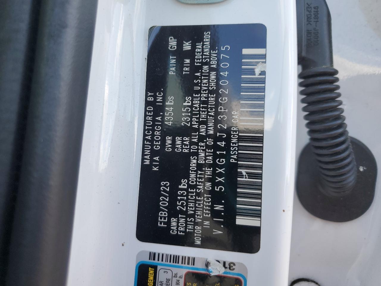 2023 Kia K5 Lxs VIN: 5XXG14J23PG204075 Lot: 65396025