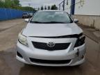 2010 TOYOTA COROLLA BASE   for sale at Copart NB - MONCTON
