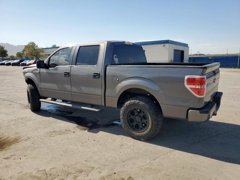  FORD F-150 2014 Szary
