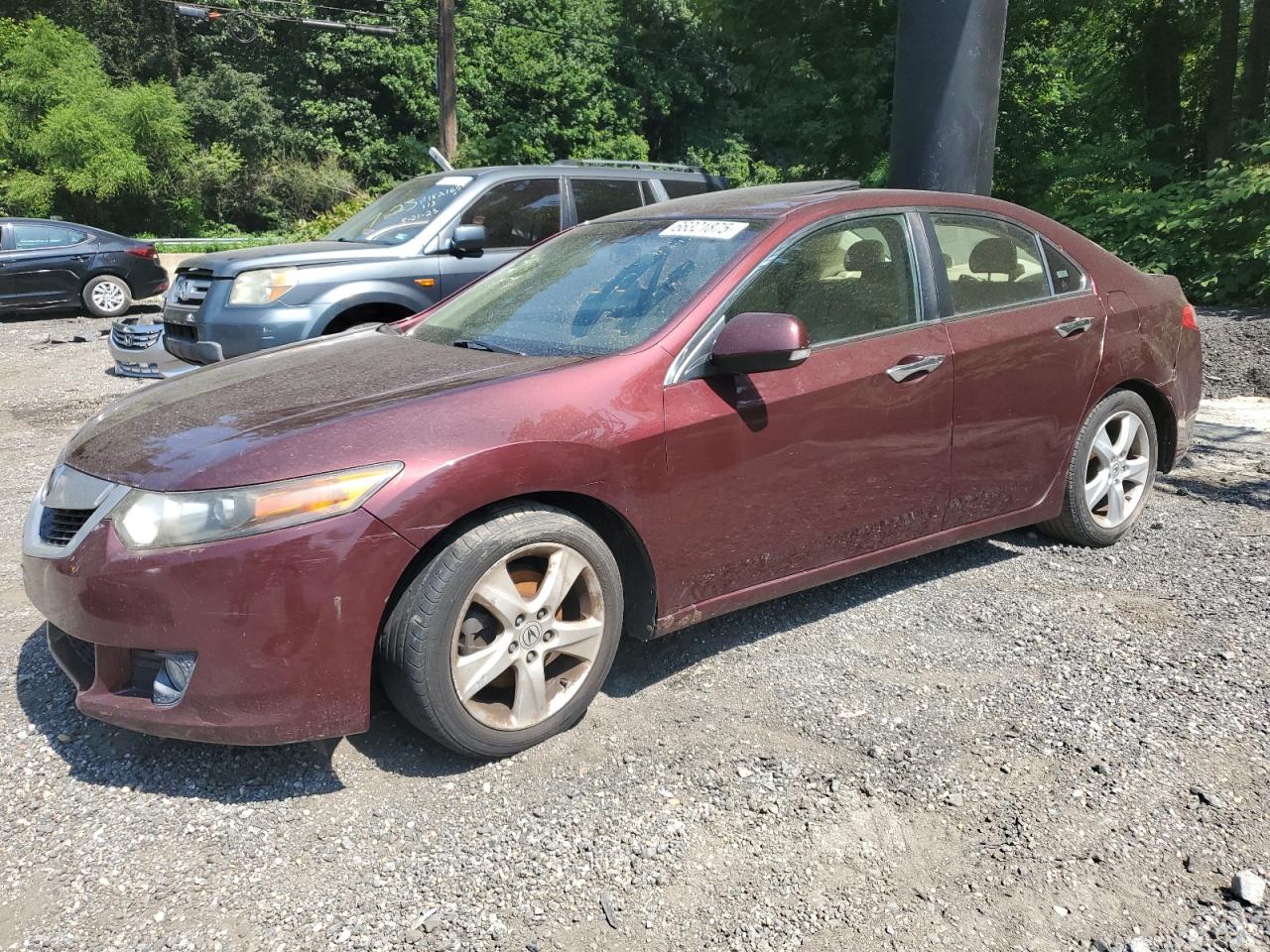 jh4cu26629c011262 JH4CU26629C011262 2009 Acura Tsx