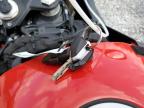 2024 BMW S 1000 RR   for sale at Copart KY - WALTON