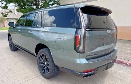  CADILLAC ESCALADE 2024 Zielony