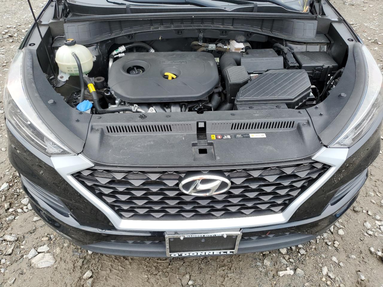 2019 Hyundai Tucson Se VIN: KM8J23A45KU024562 Lot: 64594605