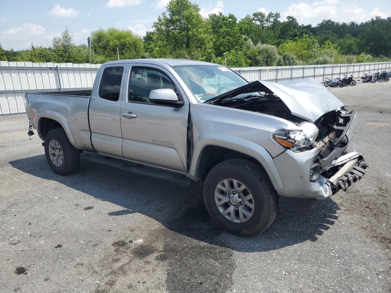 2019 Toyota Tacoma Access Cab VIN: 5TFSZ5AN7KX204181 Lot: 66523445