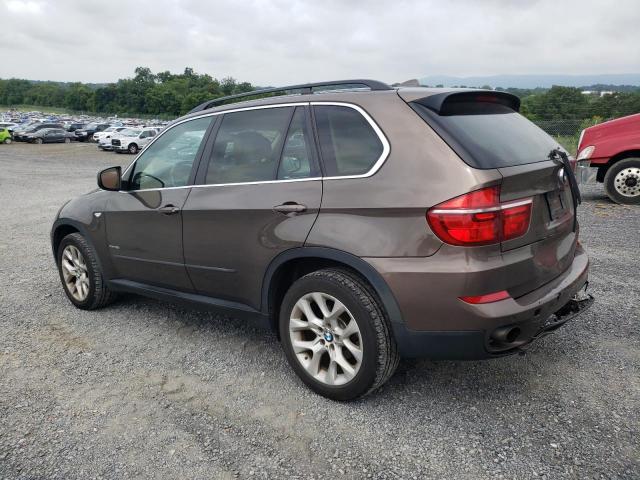 Parquets BMW X5 2013 Brązowy