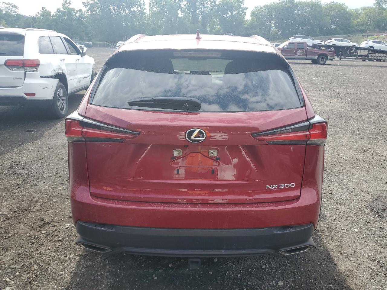2021 Lexus Nx 300 Base VIN: JTJGARDZ5M5029329 Lot: 62034585