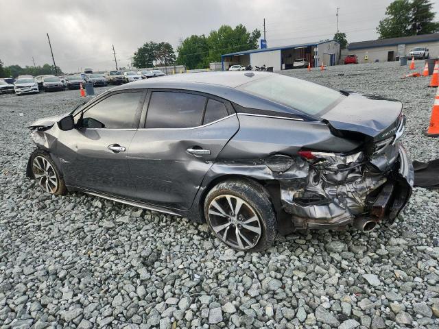 Sedans NISSAN MAXIMA 2017 Szary