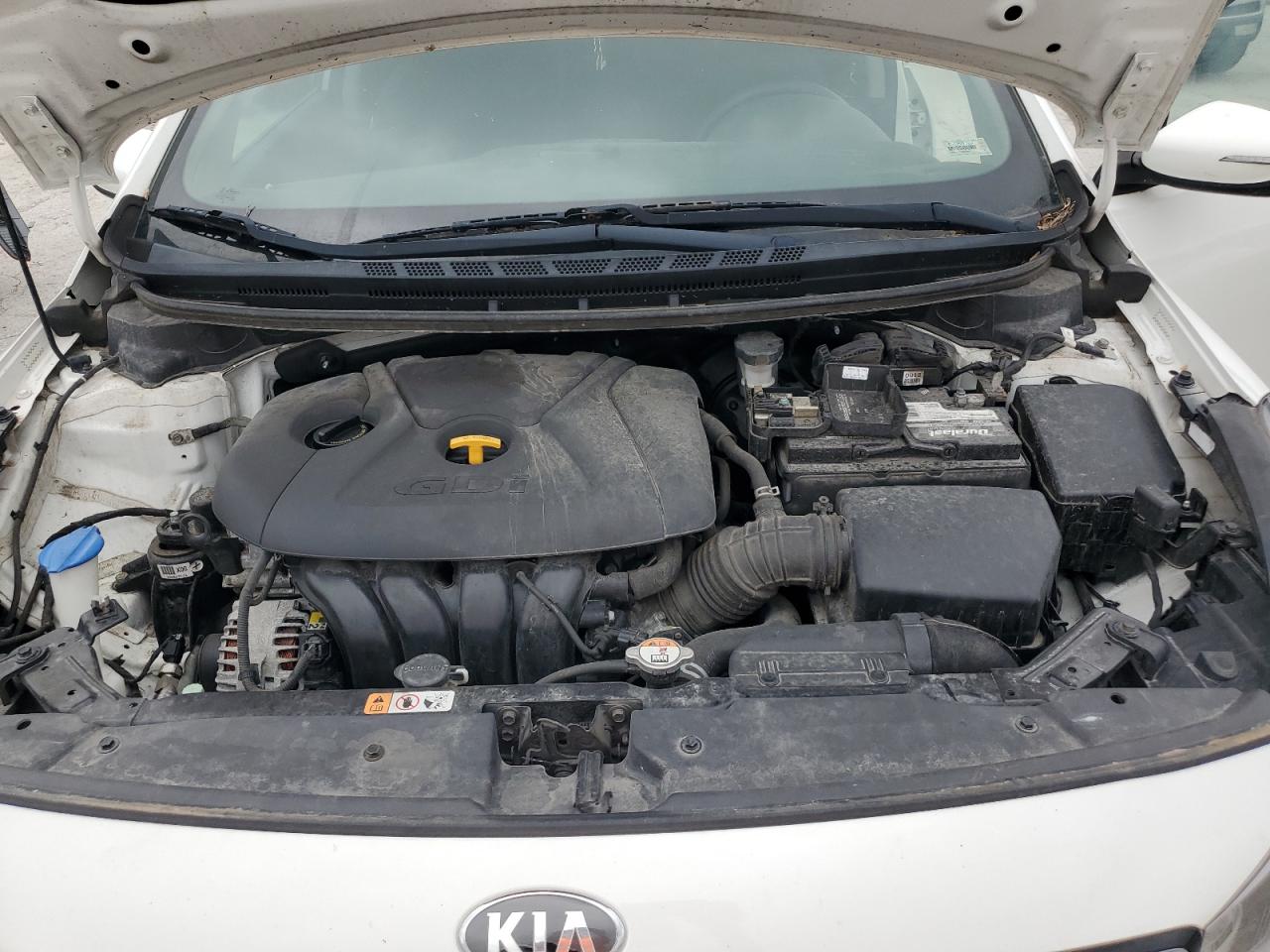 2017 Kia Forte Lx VIN: KNAFK5A81H5675356 Lot: 65607515