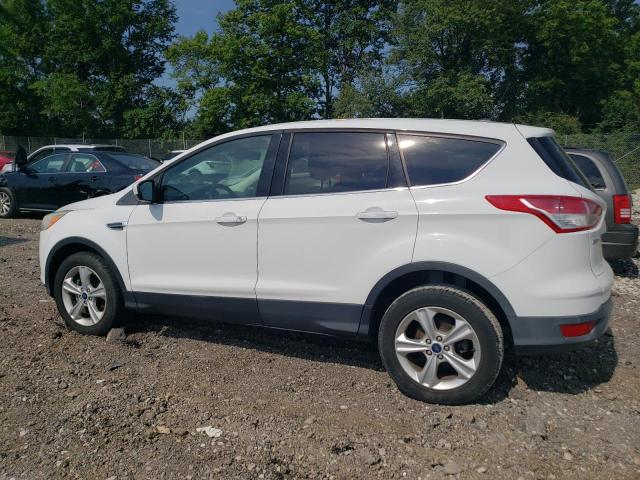 Parquets FORD ESCAPE 2013 White
