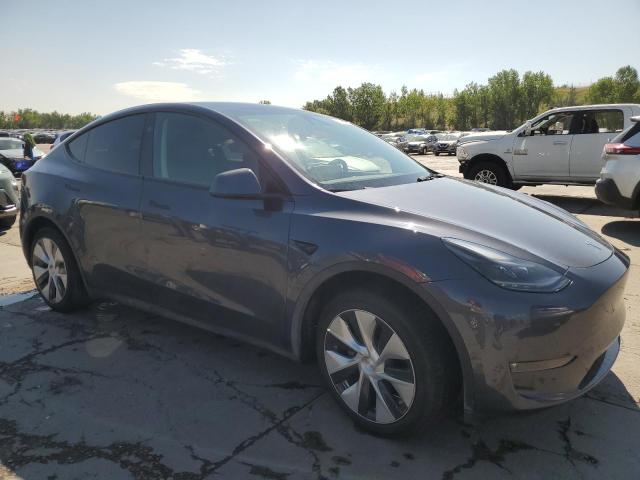  TESLA MODEL Y 2023 Сharcoal