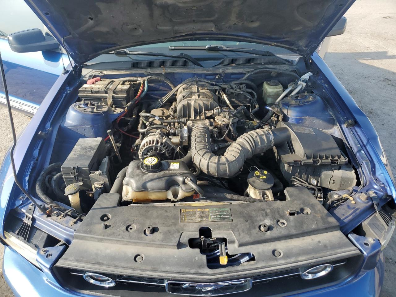 2006 Ford Mustang VIN: 1ZVFT80N665153678 Lot: 65815585