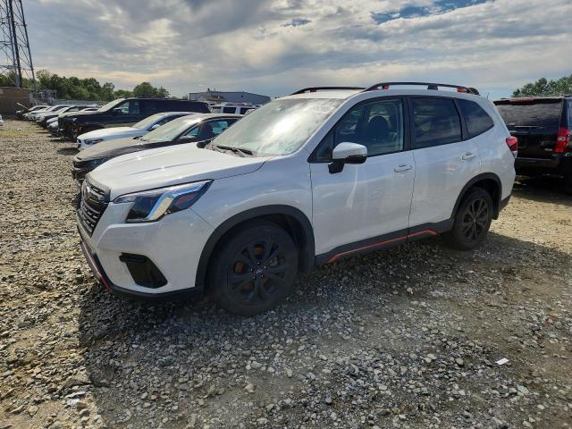  SUBARU FORESTER 2024 White