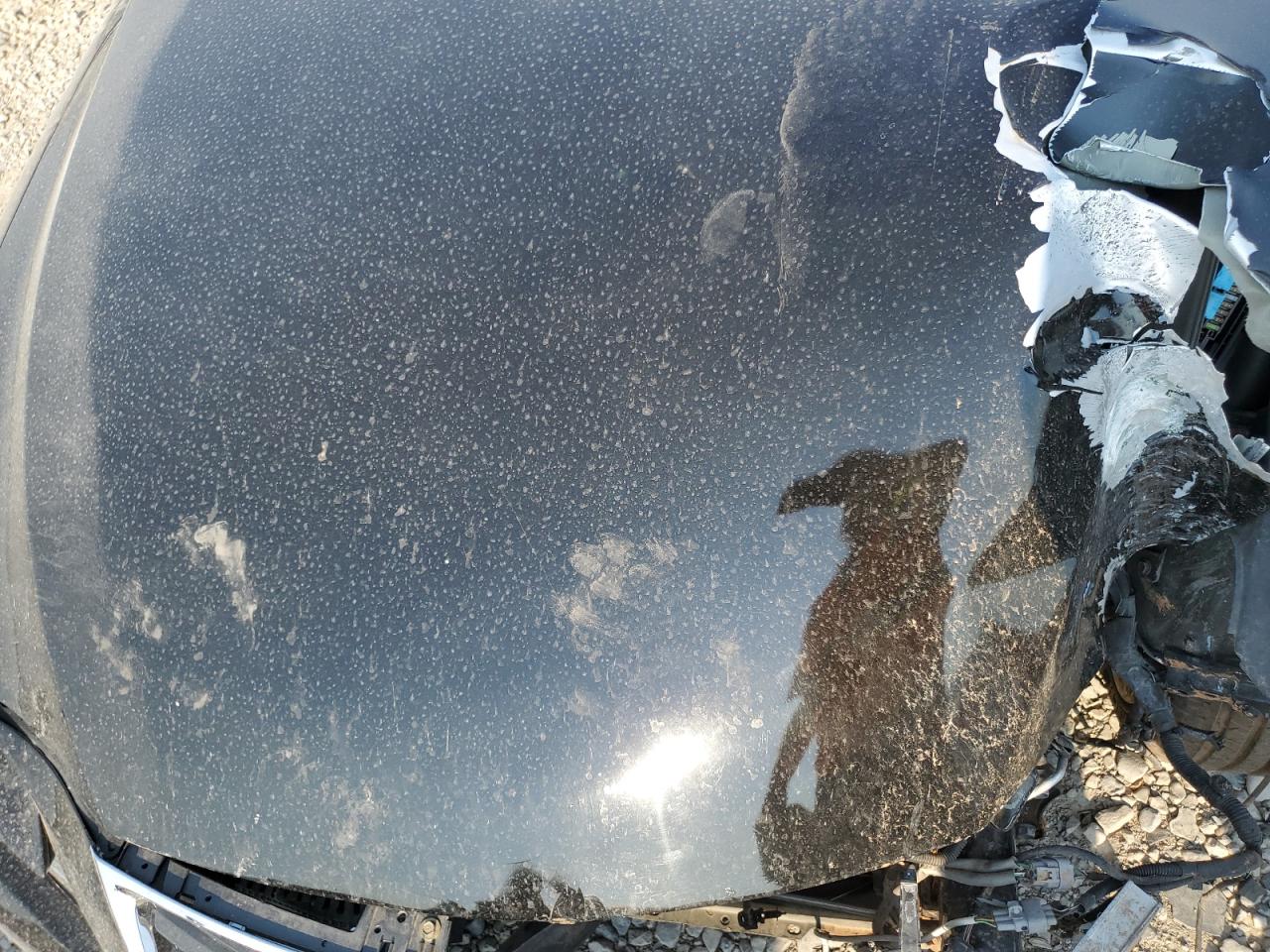 2014 Lexus Is 250 VIN: JTHBF1D25E5030046 Lot: 63285905