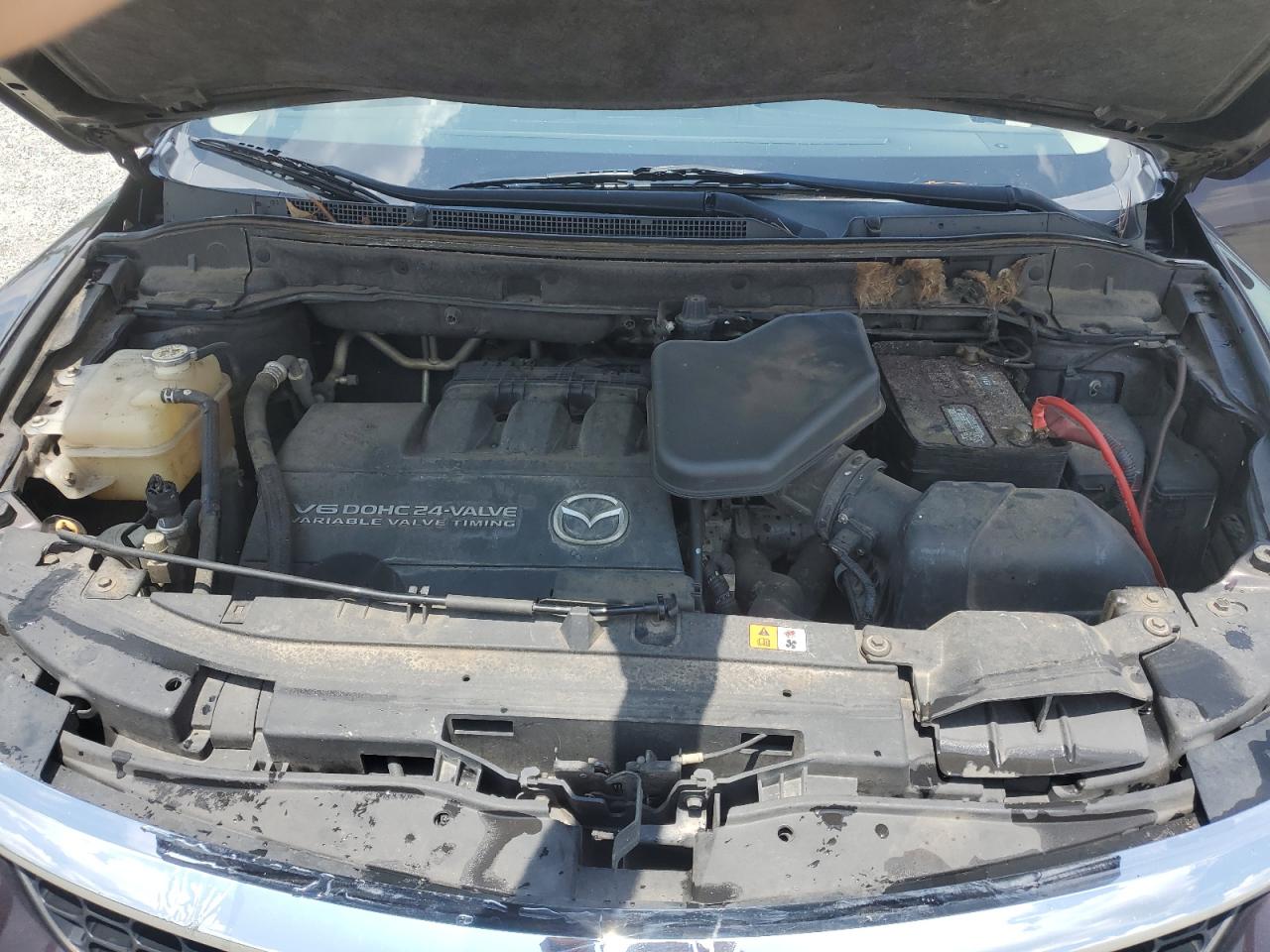 2008 Mazda Cx-9 VIN: JM3TB28A980142172 Lot: 63619715