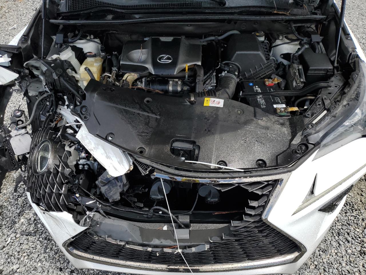 2019 Lexus Nx 300 Base VIN: JTJYARBZ9K2125907 Lot: 63044435