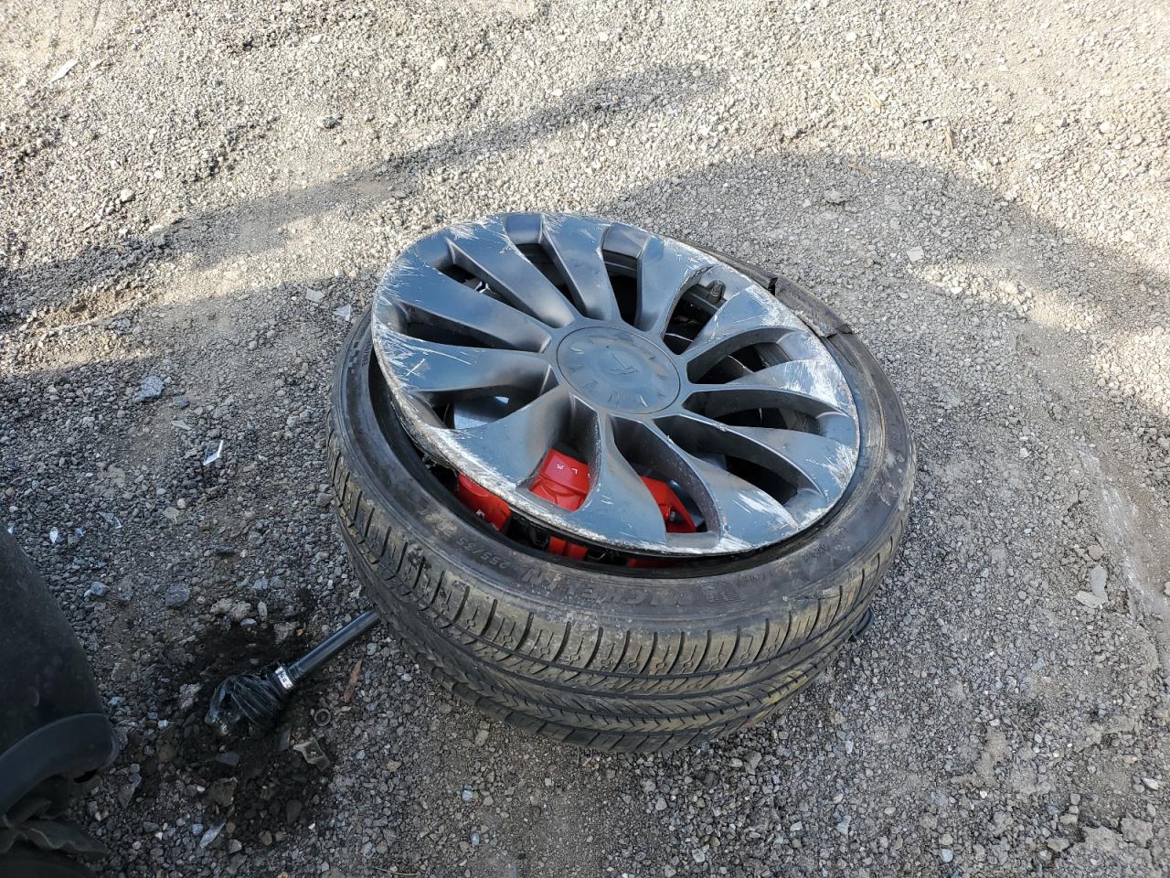 2022 Tesla Model Y VIN: 7SAYGDEF8NF546690 Lot: 66385595