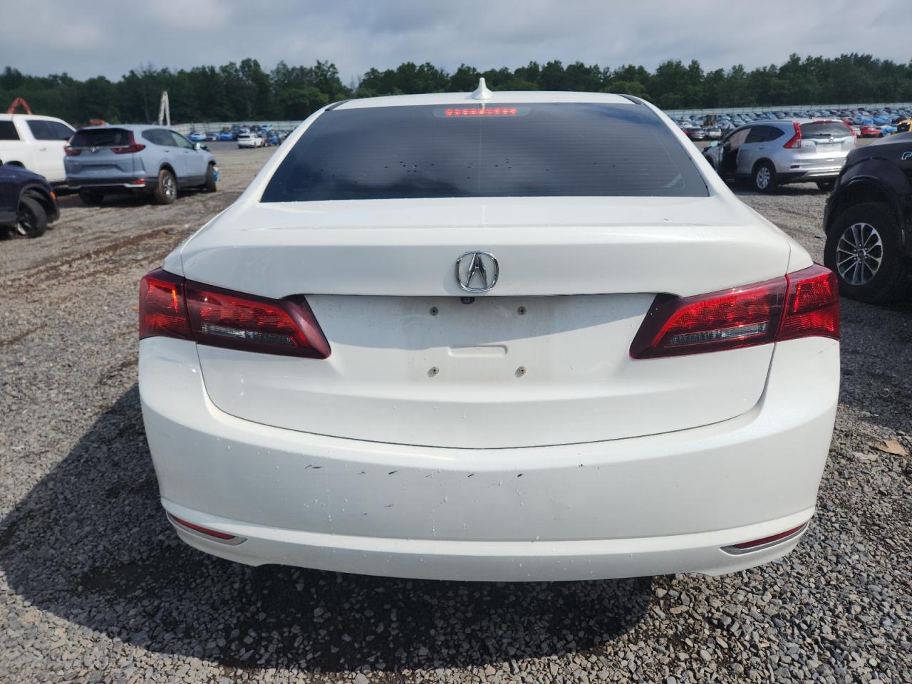 2017 Acura Tlx VIN: 19UUB1F39HA007913 Lot: 62530835