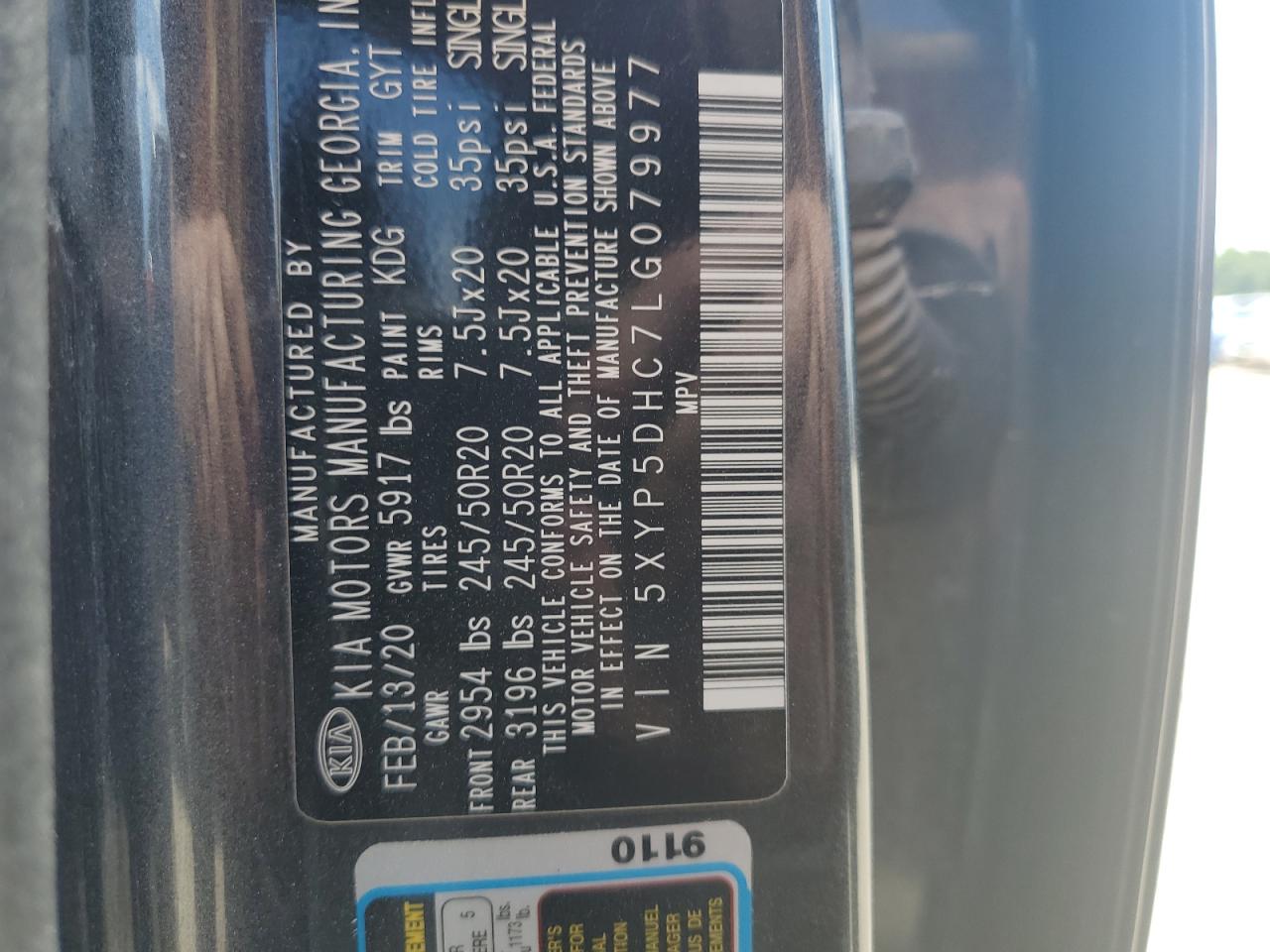 2020 Kia Telluride Sx VIN: 5XYP5DHC7LG079977 Lot: 63202695