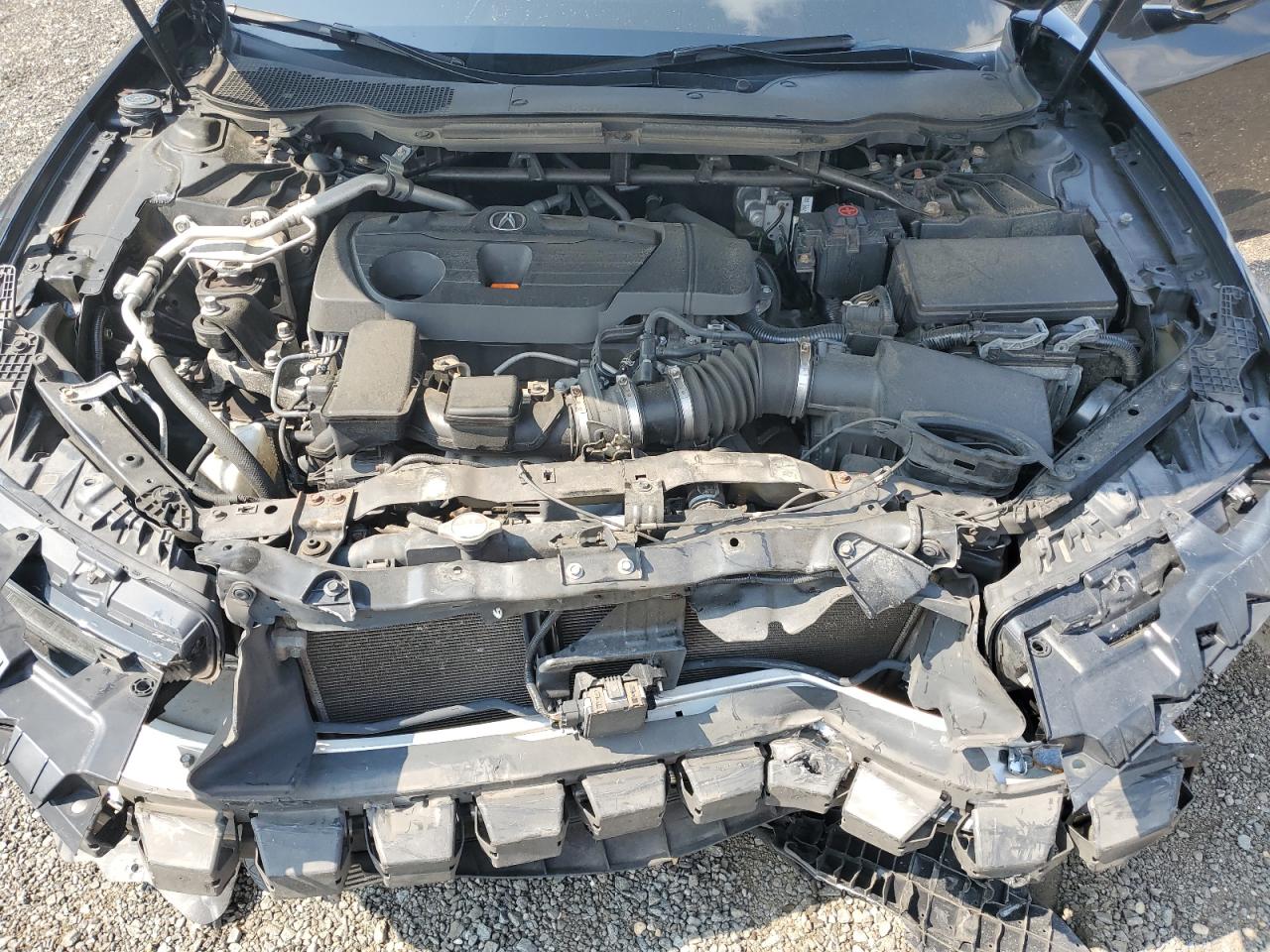 19uub6f32ma003726 19UUB6F32MA003726 2021 Acura Tlx