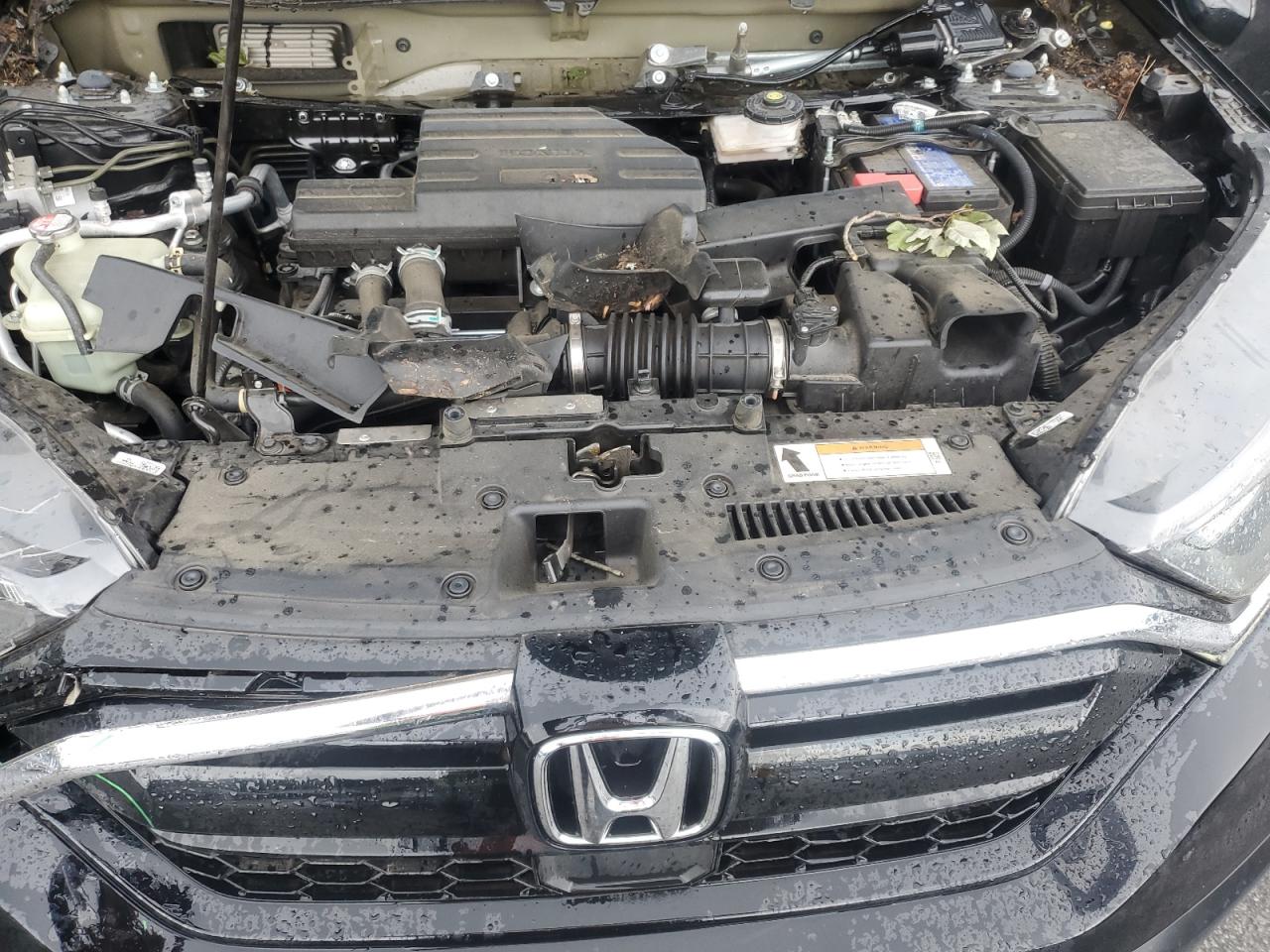 2022 Honda Cr-V Exl VIN: 5J6RW1H87NL000681 Lot: 63793275