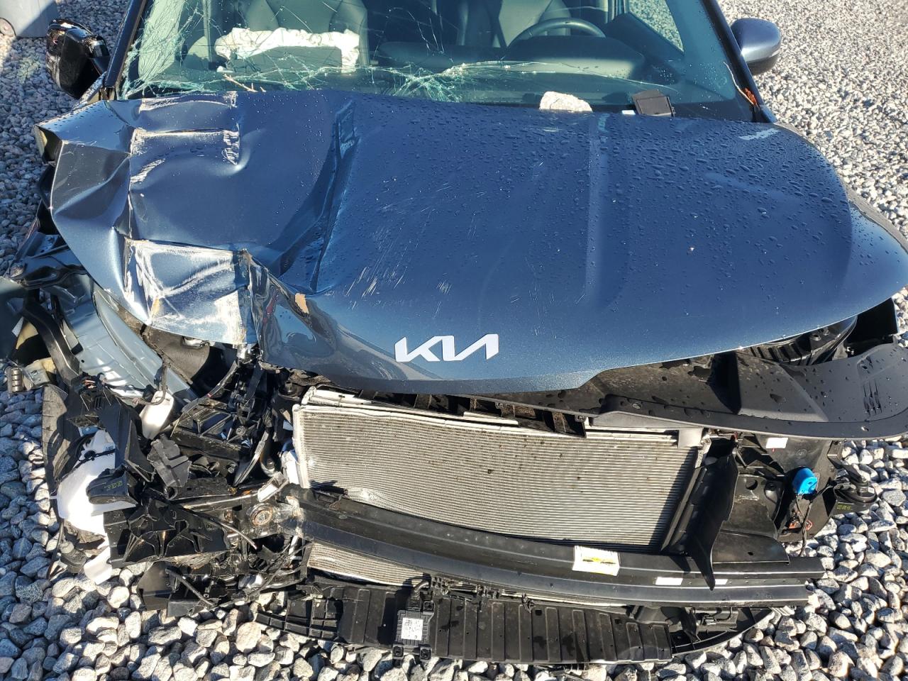 2024 Kia Carnival Sx VIN: KNDNE5H38R6415483 Lot: 64487205