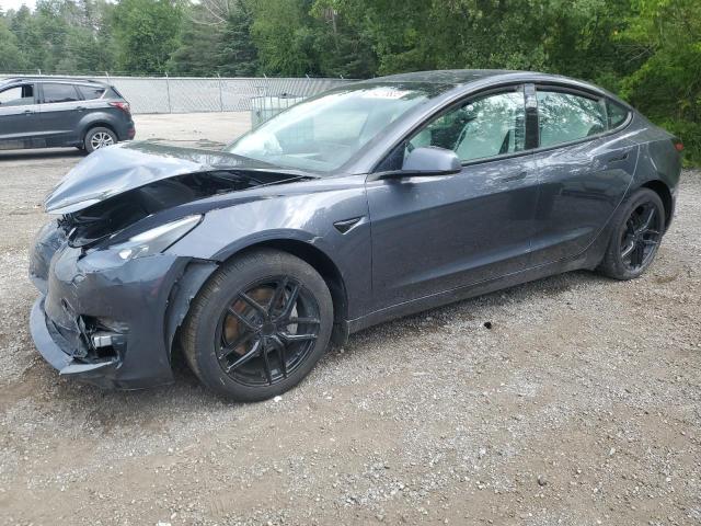 2023 TESLA MODEL 3    for sale at Copart ON - COOKSTOWN