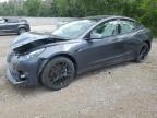 2023 TESLA MODEL 3    for sale at Copart ON - COOKSTOWN
