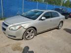 2009 CHEVROLET MALIBU 2LT   à vendre chez Copart NB - MONCTON